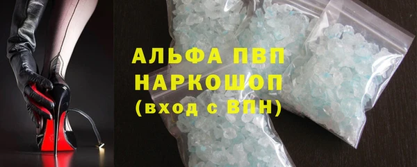 гашик Пестово