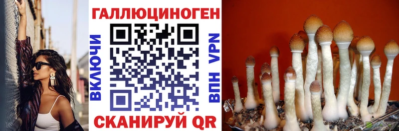 Галлюциногенные грибы мицелий  как найти наркотики  Беслан 